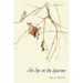 An Eye on the Sparrow: The Bird Lover's Bible