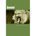 Daniel: Made Easy for the Layman