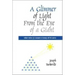 A Glimmer of Light from the Eye of a Giant: Tabular Evidence of a Monument in Harmony with the Universe