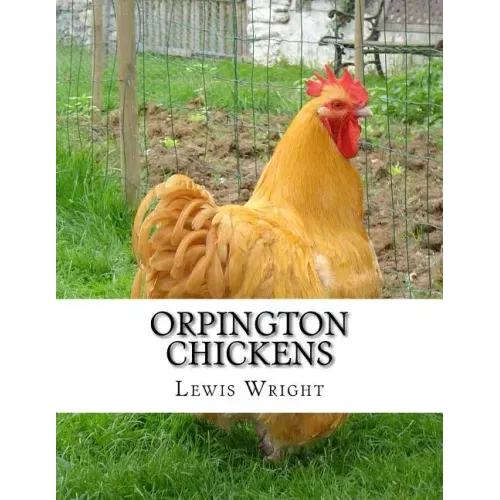 Orpington Chickens: From The Book of Poultry