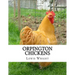 Orpington Chickens: From The Book of Poultry