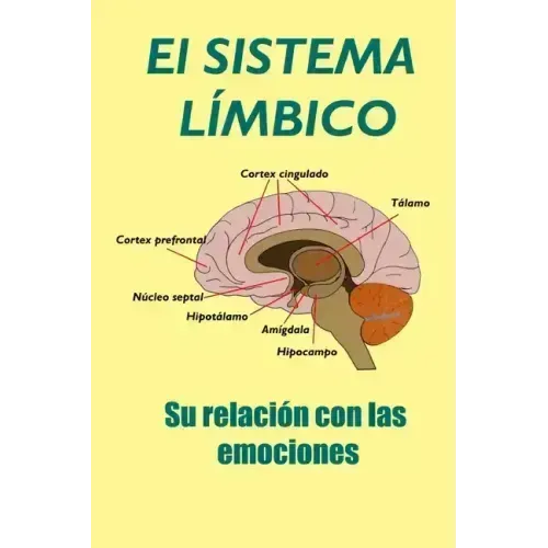 El Sistema Límbico: Su relación con las emociones