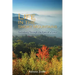 Life In The Smoky Mountains: Gatlinburg Through the Eyes of a Local