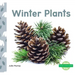 Winter Plants
