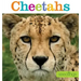 Seedlings: Cheetahs