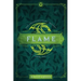 Flame