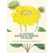 40 Antique Botanical Designs to Color