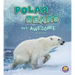 Polar Bears Are Awesome