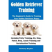 Golden Retriever Training: The Beginner's Guide to Training Your Golden Retriever Puppy: Includes Potty Training, Sit, Stay, Fetch, Drop, Leash T