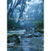 This Language, a River: A History of English