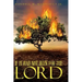 If It Had Not Been for the Lord