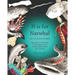 N Is for Narwhal: ABC of Ocean Oddities Alphabet of Obscure, Endangered, and Underappreciated Sea Animals