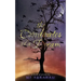 The Coordinates of a Dream