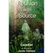 Reunion with Source