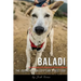Baladi: The Journey of an Egyptian Street Dog