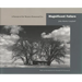 Magnificent Failure: A Portrait of the Western Homestead Era