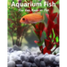 Aquarium Fish You Can Keep As Pets: A List Of Crazy, Exotic Fish To Keep As Pets