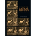 Animal Dreams