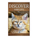 Sand Cats - Discover: Early reader's wildlife photography book