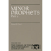 Minor Prophets: Part 2