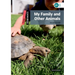 Dominoes, New Edition: Level 3: 1,000-Word Vocabularymy Family and Other Animals