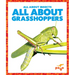 All about Grasshoppers