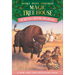 Buffalo Before Breakfast