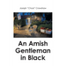 An Amish Gentleman in Black