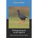 Birding hotspots in the Algarve: Albufeira, Vilamoura and surrounding areas