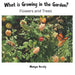 What is Growing in the Garden?: Flowers and Trees