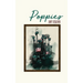 Poppies