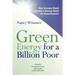 Green Energy for a Billion Poor: How Grameen Shakti Created a Winning Model for Social Business