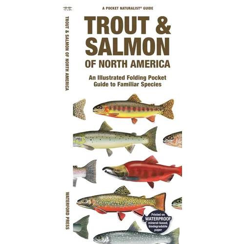 Trout & Salmon of North America: An Illustrated Folding Pocket Guide to Familiar Species