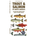 Trout & Salmon of North America: An Illustrated Folding Pocket Guide to Familiar Species