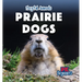 Prairie Dogs