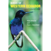 Birds of Western Ecuador: A Photographic Guide