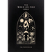 The Word on Fire Bible: The Pentateuch Volume 3