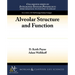 Alveolar Structure and Function