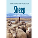 Exploring the World of Sheep: Educational Animals Book For Kids