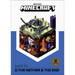 Minecraft: Guide to the Nether & the End