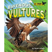 Ravenous Vultures
