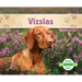 Vizslas