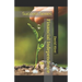 Financial Independence: Success Series