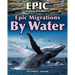 Epic Migrations by Water