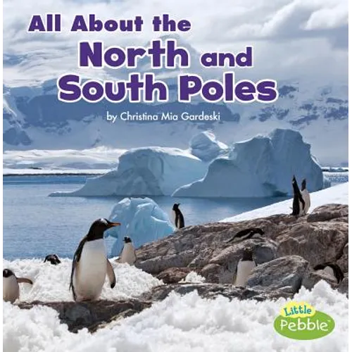All about the North and South Poles