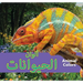 Animal Colors (Arabic)/ ألوان الحيوانات