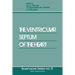 The Ventricular Septum of the Heart