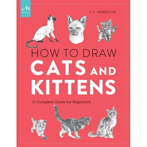 How to Draw Cats and Kittens: A Complete Guide for Beginners
