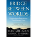 Bridge Between Worlds: Extraordinary Experiences That Changed Lives