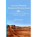 Congress Whispers, Reservation Nations Endure: A Century of Public Acts of Aggression, Confusion, & Resolution